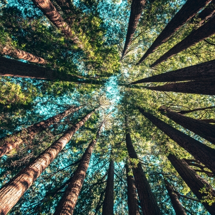 Formation en techniques hypnotiques relationnelles - 2023