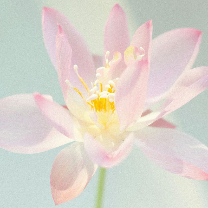 Ateliers d'initiation à l'auto-hypnose