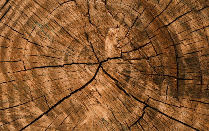 Séminaire Approche éricksonienne des « résistances »